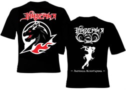 Футболка "Красный Дракон" 2209